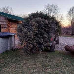 Meet your Posher, Elly